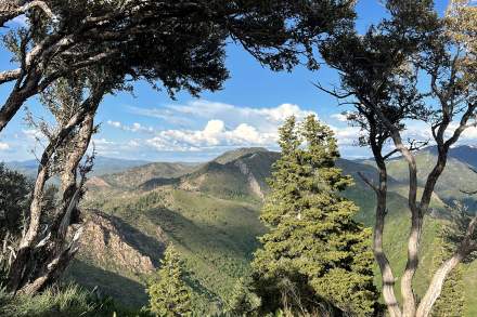 Photograph of Grandeur Peak through the trees