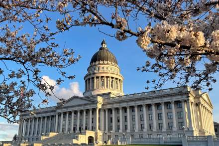 Cherry Blossom Utah State Capitol