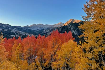 Alta - Fall Cassie Lentz