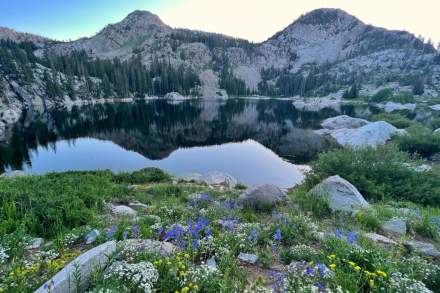 Image of Lake Mary at Brighton in the summer.
