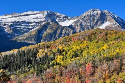 Image of the Alpine Loop