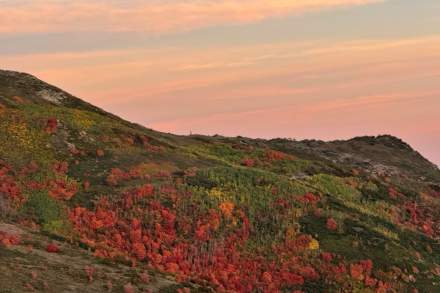 Image of Midway during the fall.