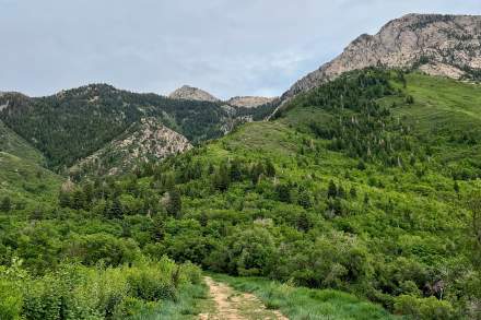 Trail leading through a valley with rocky mountains and green fields on each side