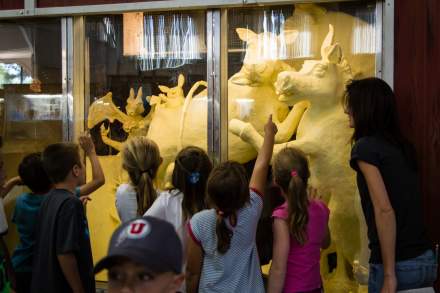 Group of young people looking at a cow sculpture made of butter that is behind glass
