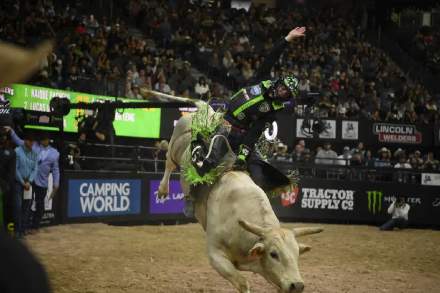 Bull rider riding a bull at a Rodeo event. The event, put on by PBR - headquartered in Pueblo, Colo., PBR was founded in 1992 by a group of 20 visionary bull riders who broke away from the traditional rodeo scene, seeking mainstream attention, new riches and a livelihood for future generations of cowboys for the most popular discipline in rodeo, bull riding.