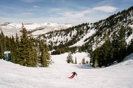 Solitude Skier