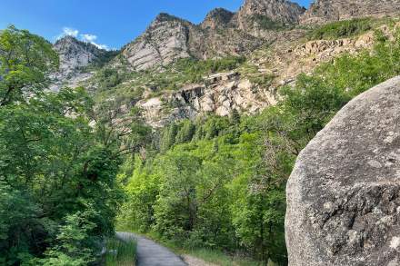 Paved Trail leading through trees with rocky canyon walls and high mountain peaks above them