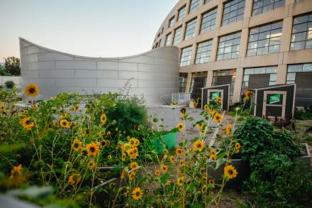 The Salt Lake City Public Library's garden.