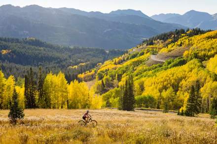 Mountain biking in the Wasatch Mountains.