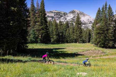 People mountain biking in the cottonwood canyons.