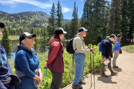 Wasatch Wildflower Festival attendees listen on a guided tour