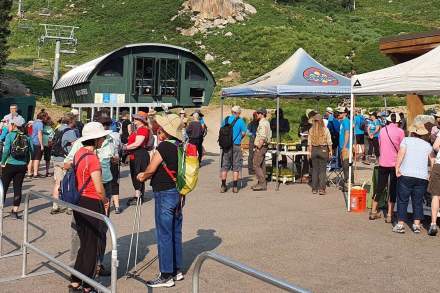Opening registration for the Wasatch Wildflower Festival
