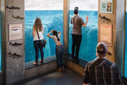 Peering Through Aquarium at Utah's Hogle Zoo Brew