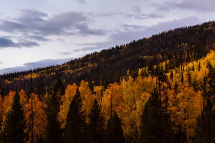 Autumn Trees at Mirror Lake Highway