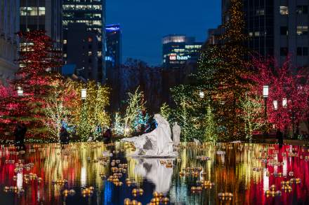 Statue of the Nativity in a reflecting pool surrounded by trees decorated with christmas lights