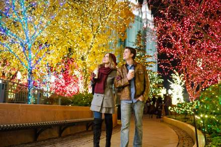 See the Temple Square Lights in downtown Salt Lake