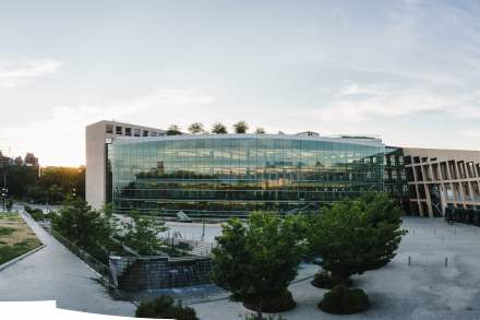 Downtown City Library