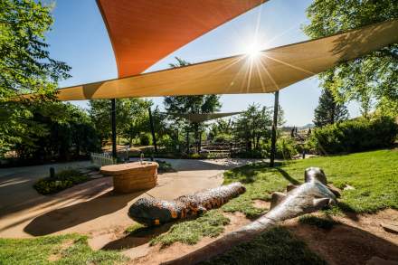 Lizard Sculptures at Red Butte Gardens