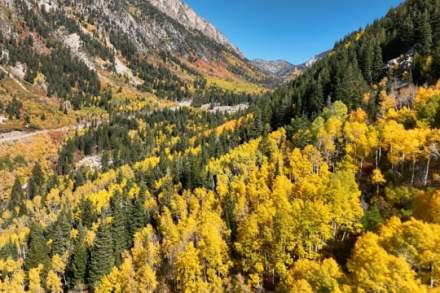 Video Thumbnail - vimeo - Fall in Salt Lake