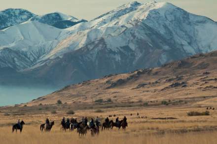 antelope-island-roundup0_fafdff53-95ef-a3f6-c1eb10733060e0df