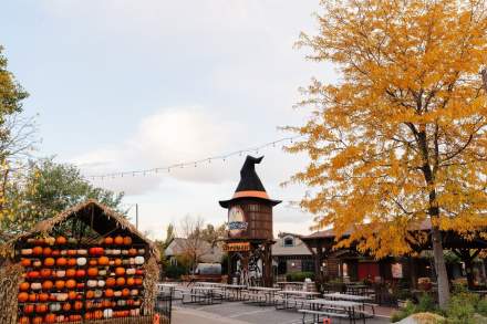 Witchfest at Gardner Village in the fall.