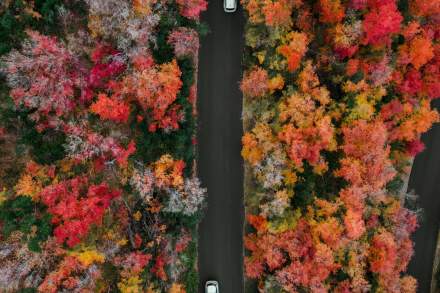Guardsman pass in the fall