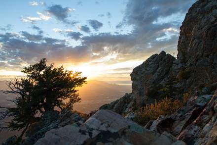 mount_olympus-11-Mountain_mahogany_and_rock_outcrop_near_the_saddle