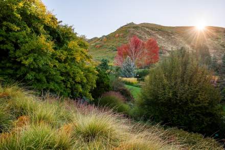 Red Butte Garden in the fall.