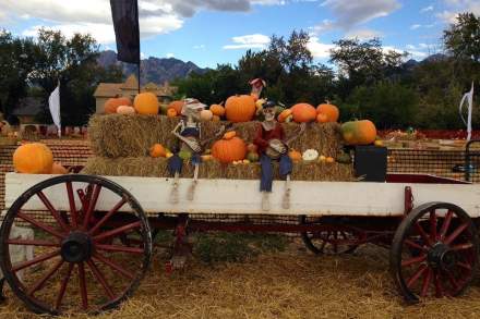 Wheeler Farm Pumpkin Days