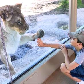 Summer Break Starts Here: 7 Family Adventures in Summit County