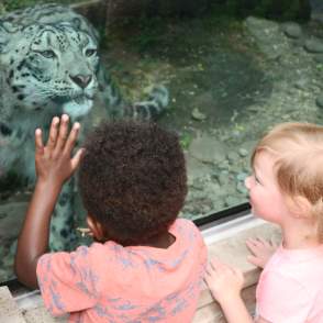 Discover Endless Adventures at Akron Zoo: A Year-Round Family-Friendly Destination