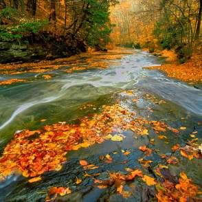 Must-Do Fall Activities in Akron and Summit County