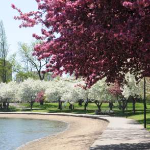 Celebrate the Season with These Unforgettable Spring Activities in Akron and Summit County