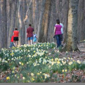 Best Places to See Spring Blooms in Summit County