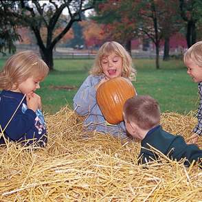 Fall Farmers Markets and Pumpkin Patches in Summit County