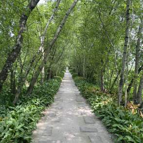 Three Ways to Spend a Day in Akron