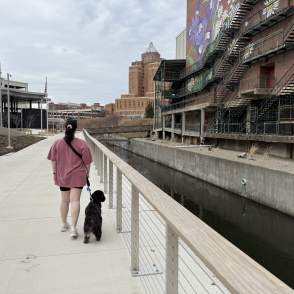 Paw Prints and Pit Stops: A Guide to Dog-Friendly Locations Summit in County