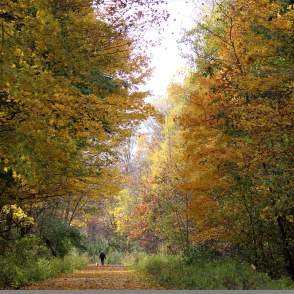 Exploring Summit County Parks