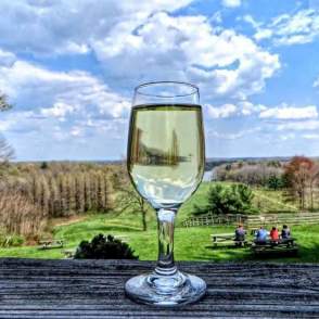 Sip and Savor: A Wine Lover’s Guide to Summit County
