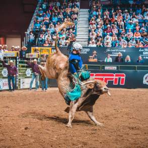 Bull riding at CNFR in 2025