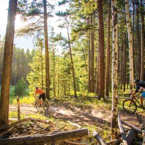 Mountain Bikers on trail