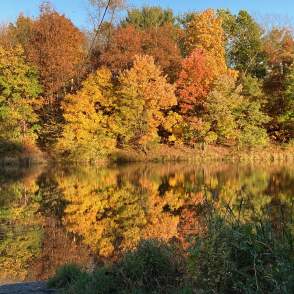 Opossum Lake-21