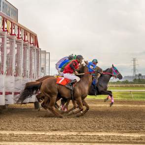 The Fargo-Moorhead-West Fargo Summer Bucket List: 30+ Things to Do This Summer