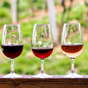 line of various wine types in wine glasses in a row