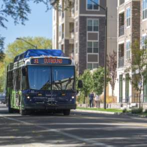 Transfort Bus in City