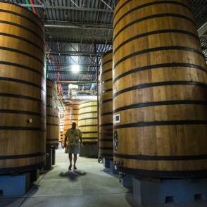 New Belgium Brewery