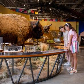 Two girls read at the Museum of Discovery