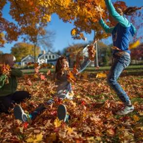 Seasons Fall