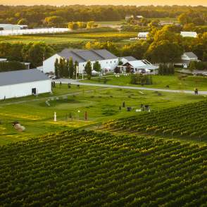 Aerial of winery & vineyard