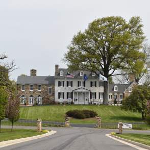 A driveway with trees lining it, leading to a white and cobblestone building.